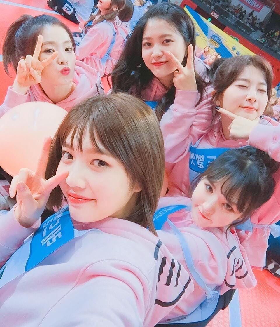 rv_09j03's tweet photo. 93 ジョイ子よりおる🌈❤️

 #RedVelvet好きな人と猛烈に絡みたくて絡みたくて仕方がないのでRedVelvet好きな人がRTしてくれたらフォローしますのでこれを見たRedVelvet好きな人は是非RT拡散してください https://t.co/GrFXVeEDDl
