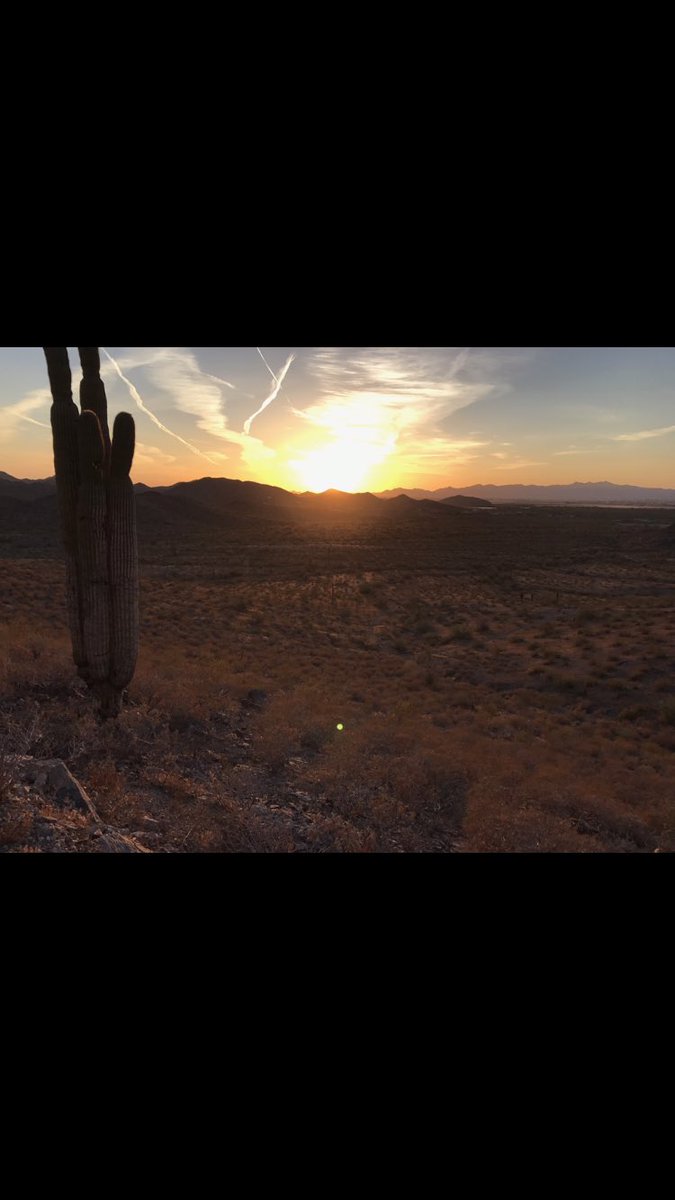 I just discovered there’s a special album of all the sunset pictures on my phone 😻😭 yep I just died a little 😻😻😻