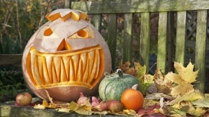eGarden_DE's tweet photo. Halloween im Garten: Tolle Ideen für draußen https://t.co/1DIehjVKpU https://t.co/MURoc8FxOd