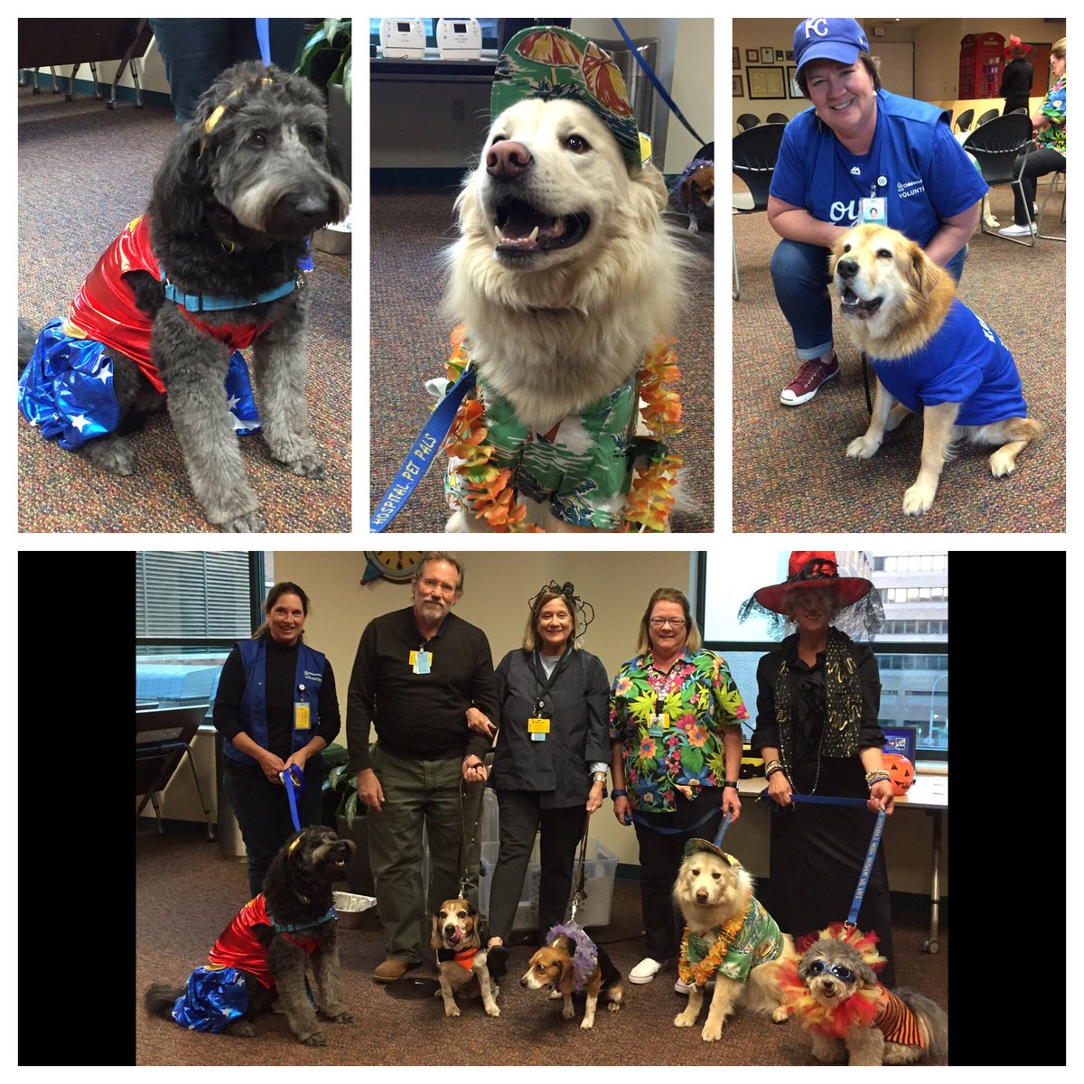 ChildrensMercy's tweet photo. #Halloween fun with our furry friends from the Pet Pals program!!
(Weโd make a Howl-oween pun, but these precious pups are better behaved than that.๐๐๐ผ)
#HappyHalloween!! #DogsofCMKC https://t.co/gNX698fEsQ