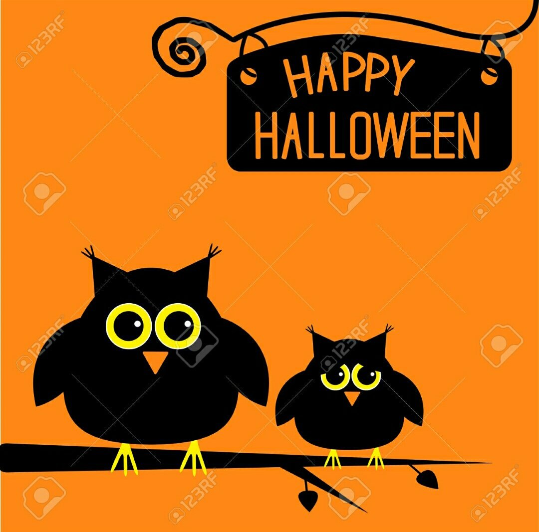 DudleyEvents tweet media