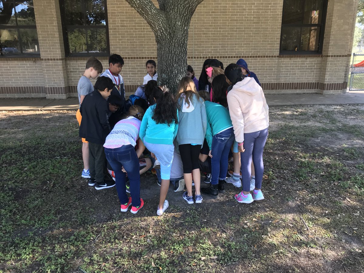 KeishaMckeithen's tweet photo. Enjoyed the beautiful morning weather as we placed our kindness rocks around our 5th grade tree! #KMChallengeoct #HESkindminds https://t.co/FndBfqTY9Q