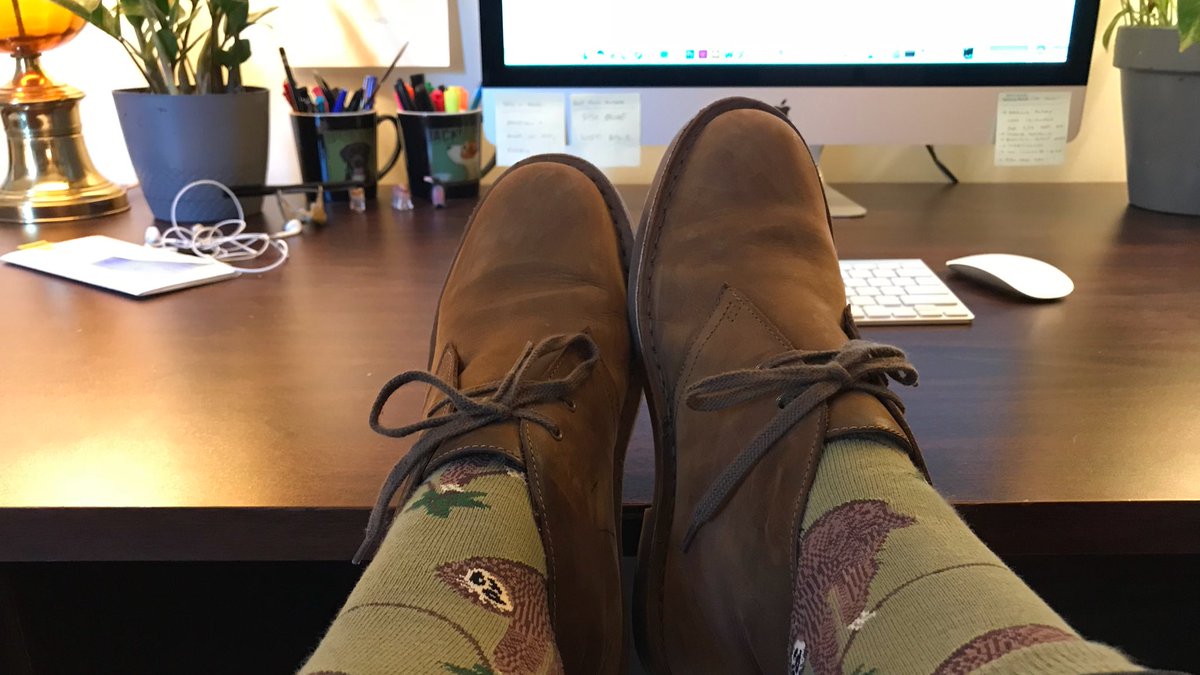 olsonquest's tweet photo. My sloth socks are actually called slocks, says @Dr_Mastodonna. These are the important convos a poet + a scientist have on Mondays. #slocks https://t.co/DgGOCfd17x