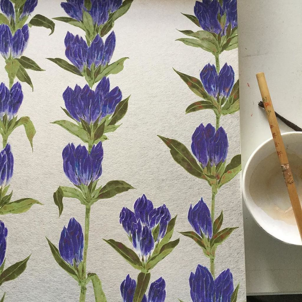 リンドウ 33×33cm #リンドウ #竜胆 #rhythmic #flower #楚里勇己 #花