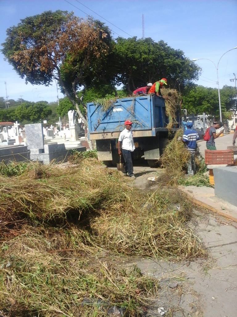 iamsaoficial's tweet photo. @iamsaoficial Trabajando en la Recolección de Desechos Sólidos y Malezas en el Cementerio General.
@MiCumana500 @davidvpsuv https://t.co/EgTr57A88v