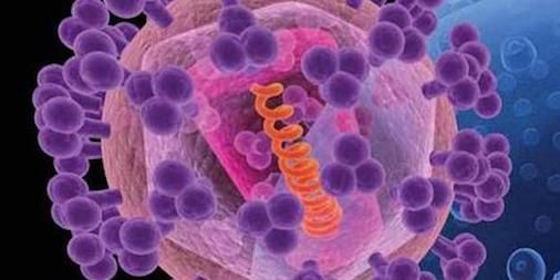 CellBiology_LR's tweet photo. Scientists design a better vaccine candidate that elicited an immune response against #HIV https://t.co/SDZzwftsJZ https://t.co/OTKOyFoy9n