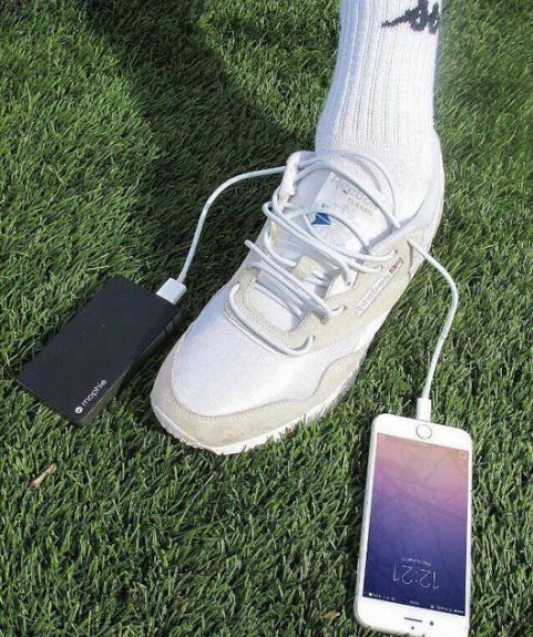 expensive shoe laces