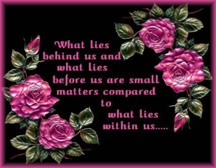 ranigill7's tweet photo. GOOD MORNING FRIENDS
@hansr8077
@rishisharmabgp
@jsharmaa1775
@sagheer_usmani
@DrAsisAcharya
@VinnuVs
@pradeepdgupta1
@kulwant93306880 https://t.co/N8dNEg8k6i