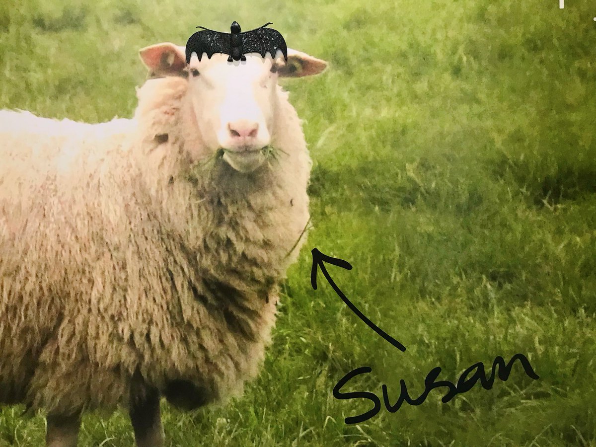 Haaaappy Halloween from our head girl Susan 🎃👻🦇