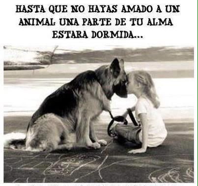 nicmit's tweet image. #NoAlMaltratoAnimal
#StopAnimalAbuse
👇🏻👇🏻