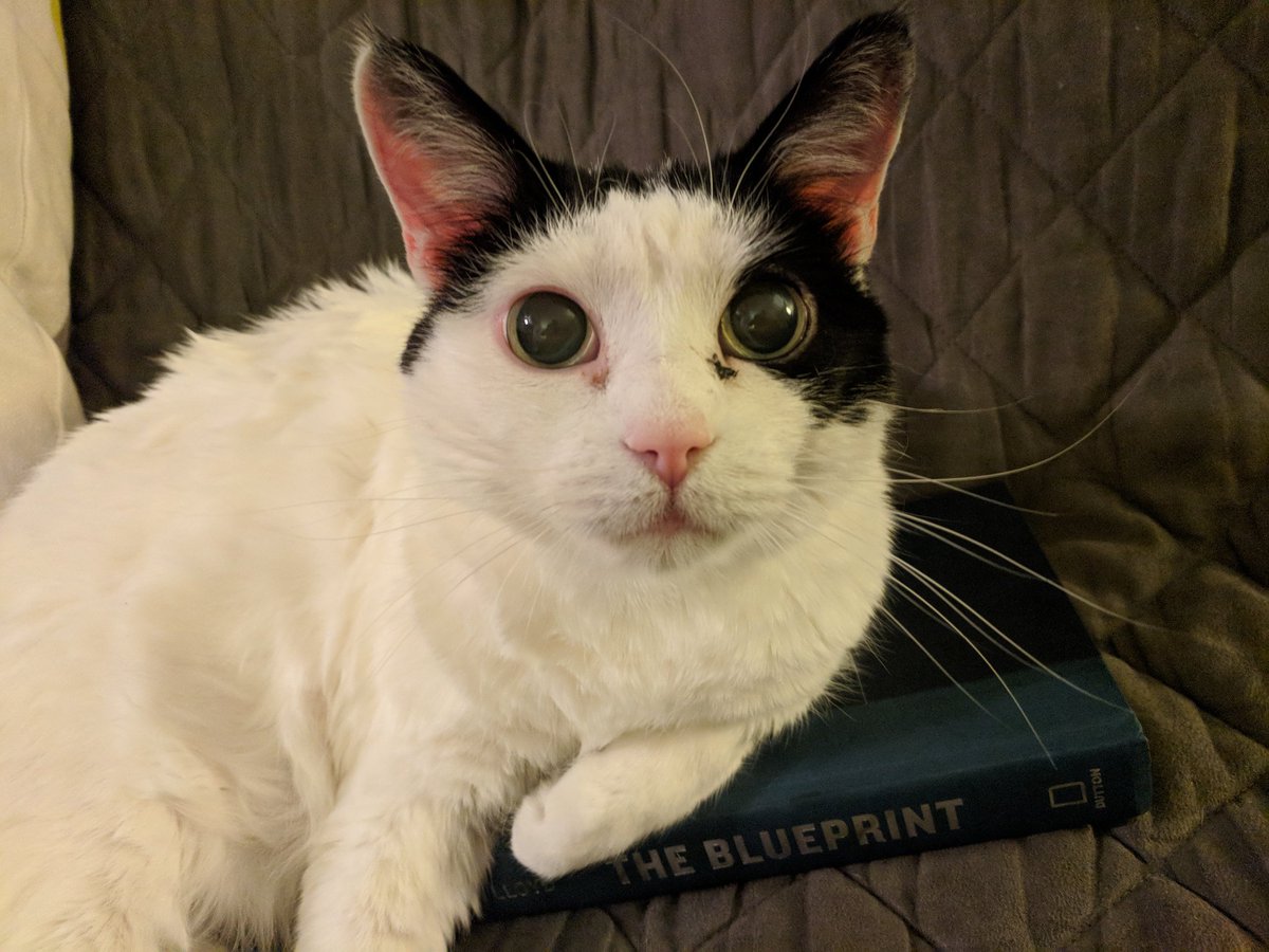 OldLoaf tweet picture