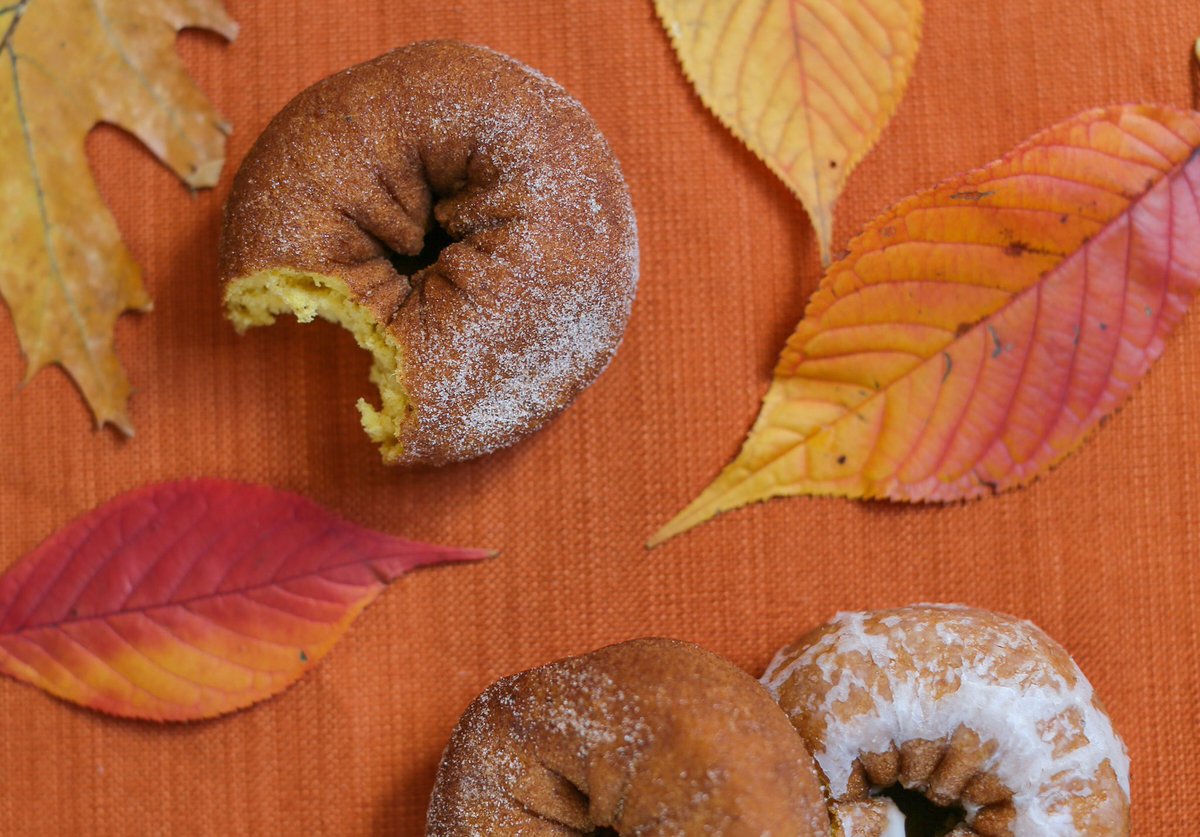 beilersdonuts's tweet photo. pumpkin cake & autumn colors 🍂 #beilers #phillyfoodie #readingterminalmarket #LancasterCounty #donut #pumpkin #autumn #philadelphia https://t.co/PgMoehi1CS