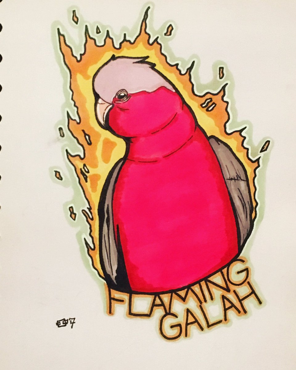 Squarespecs's tweet photo. 'You flaming galah' - Alf Stewart, you da man! #Inktober #homeandawayclosereachday https://t.co/feE8Tc9gvN