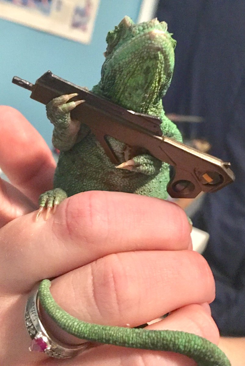 Emma_The_Ward's tweet photo. Pew pew. https://t.co/085RzcMXjr