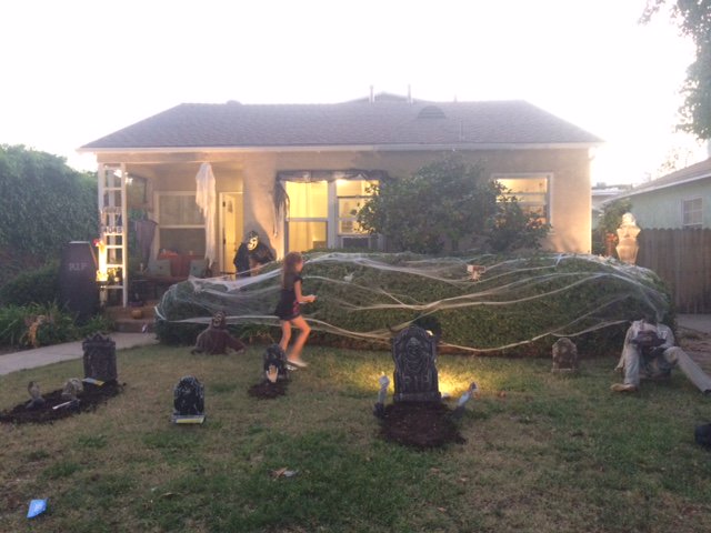 Xander Smith tweet media