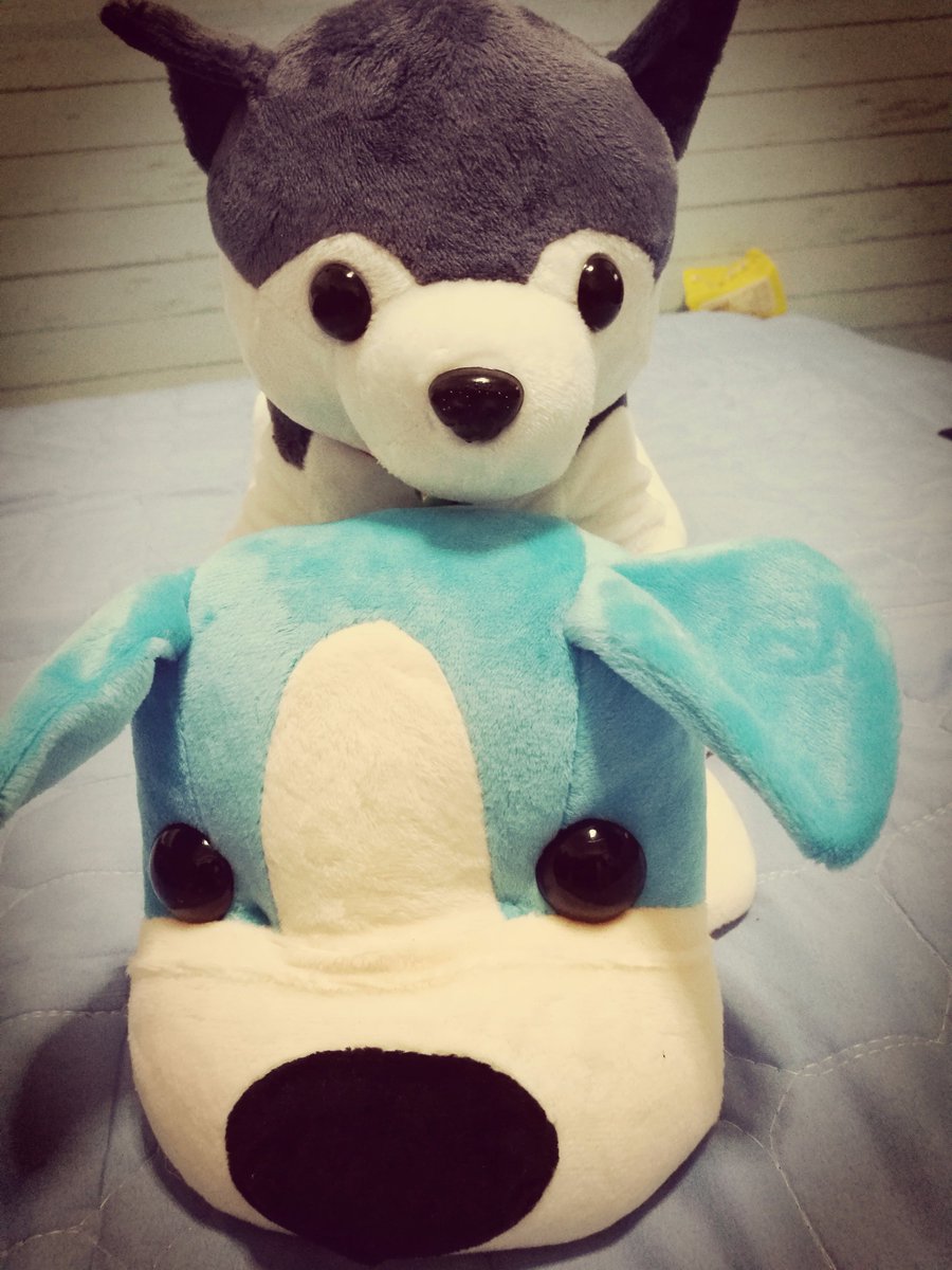 Sarah11211128's tweet photo. #Morning. Love me, love my dog. https://t.co/nit1J63WTS
