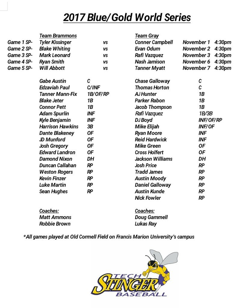 Flo-Dar Tech Stingers Baseball tweet media