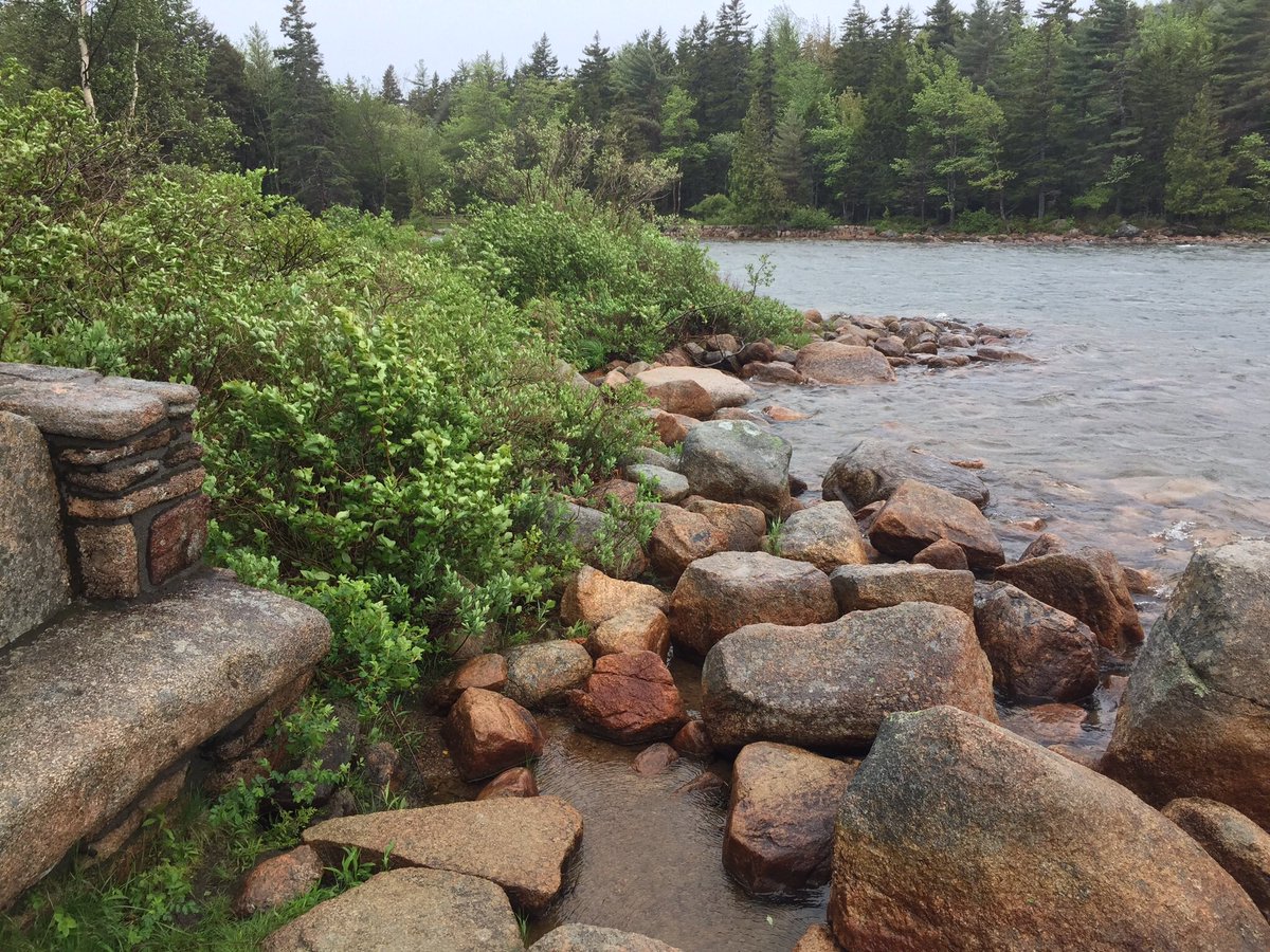 twotrees's tweet photo. “If it weren’t for the rocks in its bed, the stream would have no song.” -Carl Perkins https://t.co/QMW3i7wYpT