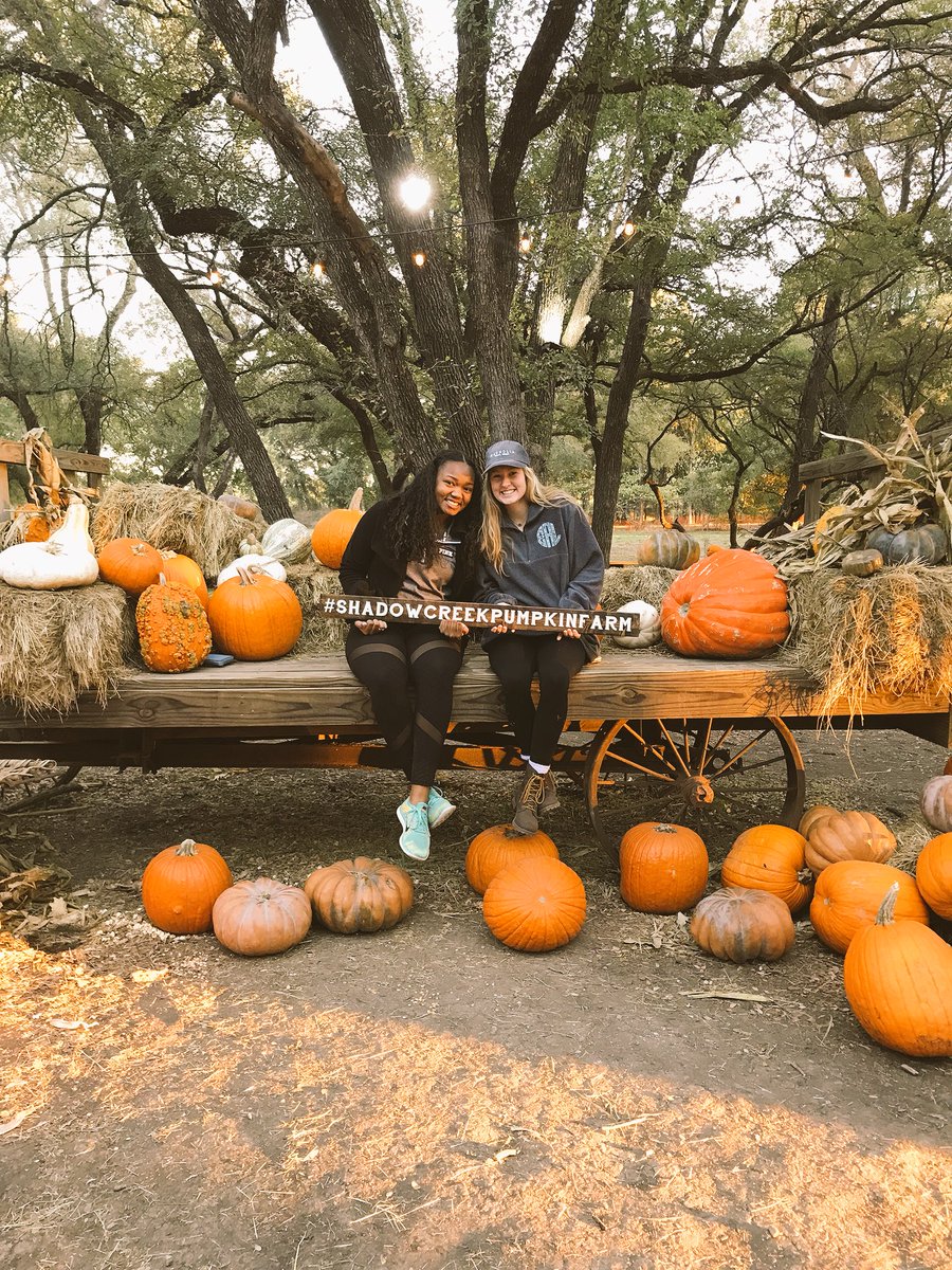 kennedylaurynm's tweet photo. find friends that fall w yaaa🎃💓🍂 https://t.co/qZUdXwzvm1