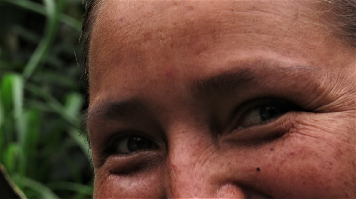 Hola Twitter... <a href="/AMPA_Peru/">AmazónicosXAmazonía</a> está de regreso ;)