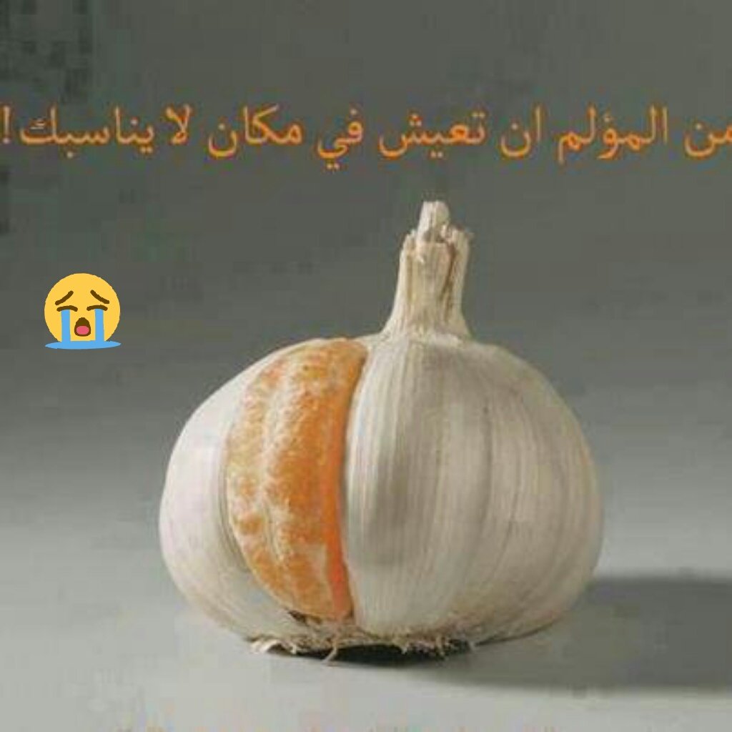 sadeeeeeeqs's tweet photo. هاهنا يقع الالم https://t.co/GT95oCromQ