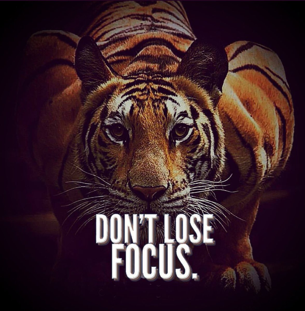 SlatonISD_Athletics tweet media