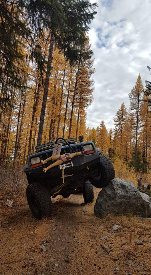 #XJ <a href="/THEJeepMafia/">The Jeep Mafia</a> <a href="/sherwoodfores/">Sherwood Forest</a> <a href="/Jeep/">Jeep</a> <a href="/BigSnatchOffRd/">Big Snatch Off-road</a> <a href="/BonhamChrysler2/">Bonham Chrysler</a> <a href="/rpx53/">Rod O|||||||O</a> @offroadelements