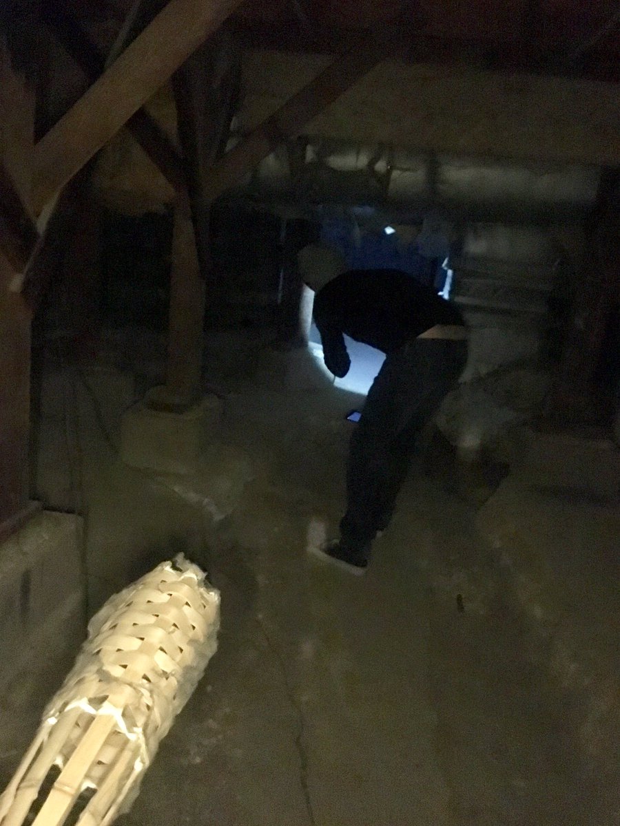 Paranormal EXP tweet media