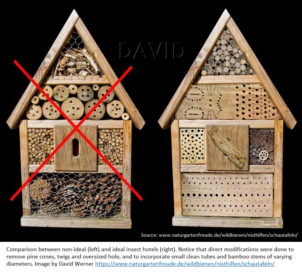 greenroofsuk's tweet photo. Great piece and one to read - Insect Hotels: A Refuge or a Fad? https://t.co/aFX9RJfABo there are a lot of bad bee hotels on sale. https://t.co/Fen99LNxUM