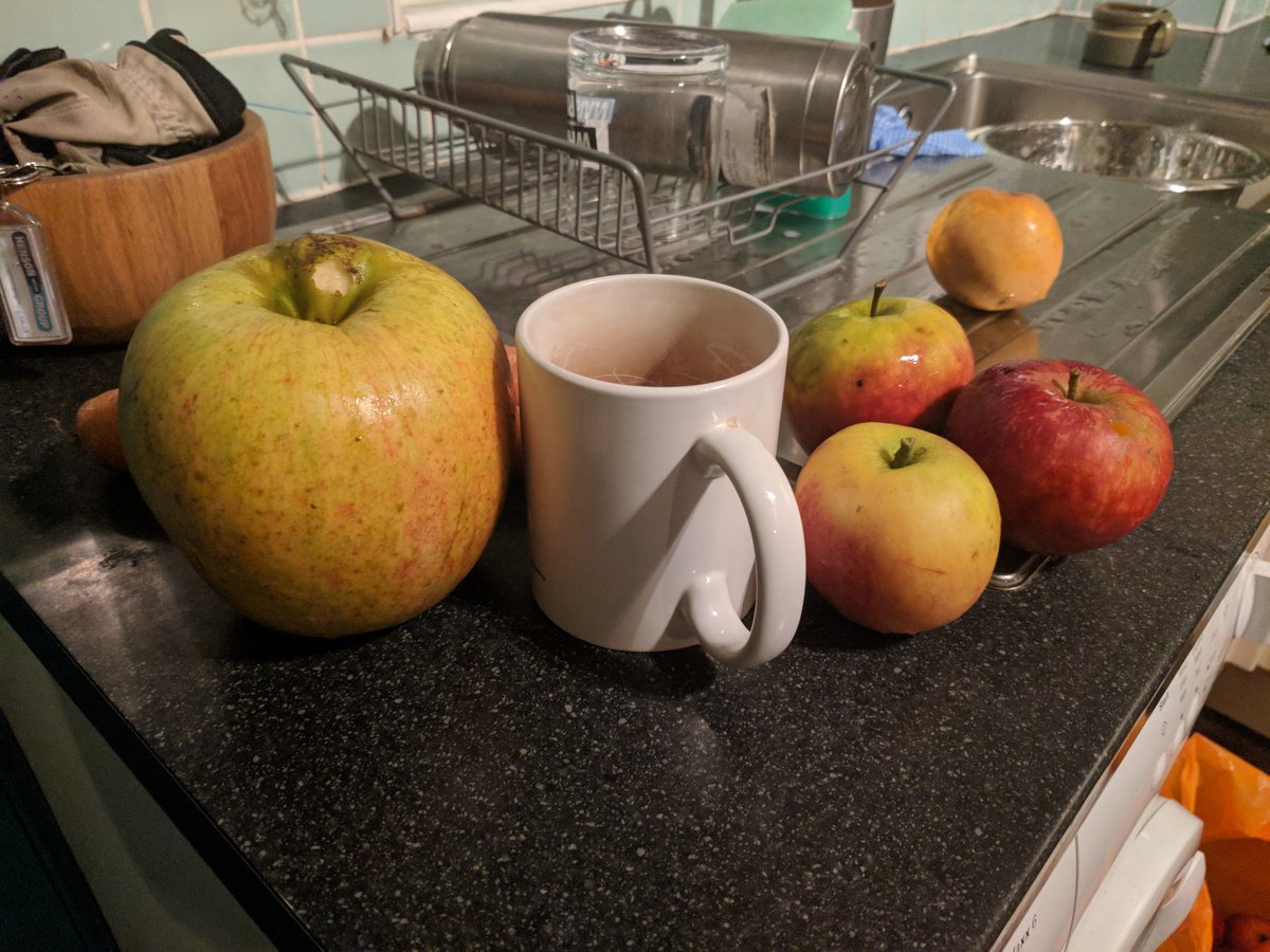 JohnNejady's tweet photo. Look at the size of that apple my gf's sister grew! #Applocalypse. https://t.co/ZeA4b03uNo