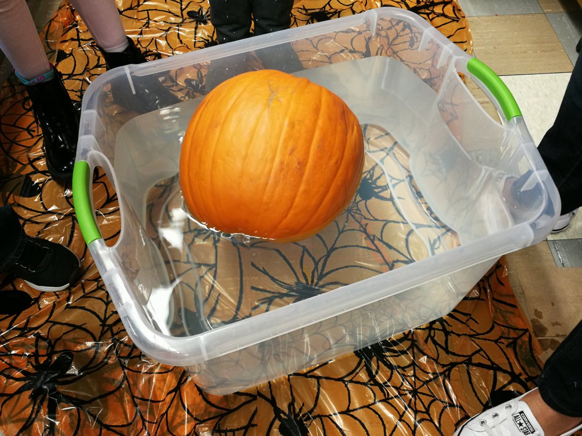 JuCaCh8's tweet photo. Pumpkin fun. Thank you to our student teacher Ms. McD and awesome volunteers for helping us explore! #pumpkinsfloat https://t.co/oxQynzdVGG