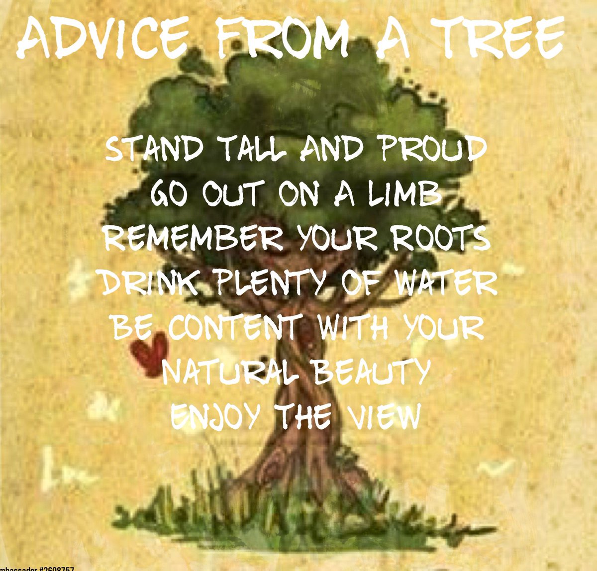 TreeHouseDisc tweet picture