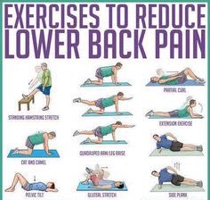 davidneeraj's tweet image. #lowerbackexercise#backtraining#personaltraining