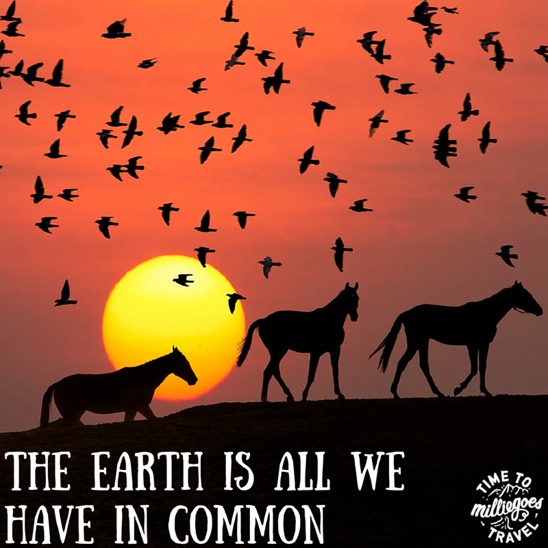MillieGoes's tweet photo. What do we all #HaveInCommon, from #Humans to #Wildlife &amp; #Continents? The #Earth - Look after it! https://t.co/ubB65RcdBo