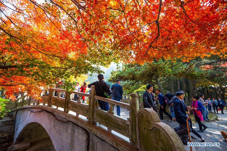ChinaDaily's tweet photo. Leaves of Lushan Mountain, East China have turned fully scarlet. #autumn https://t.co/BPJT5zKpyC https://t.co/N74BtZQUNc