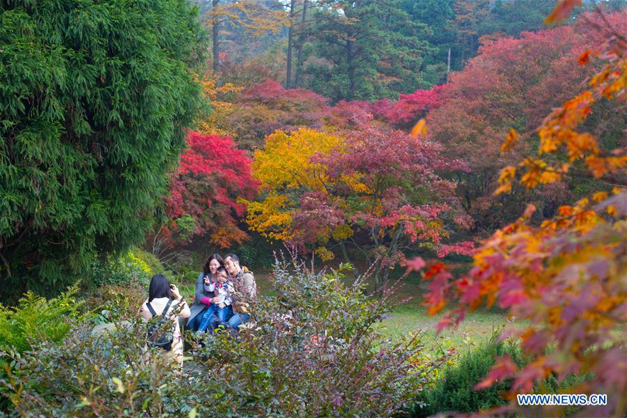 ChinaDaily's tweet photo. Leaves of Lushan Mountain, East China have turned fully scarlet. #autumn https://t.co/BPJT5zKpyC https://t.co/N74BtZQUNc