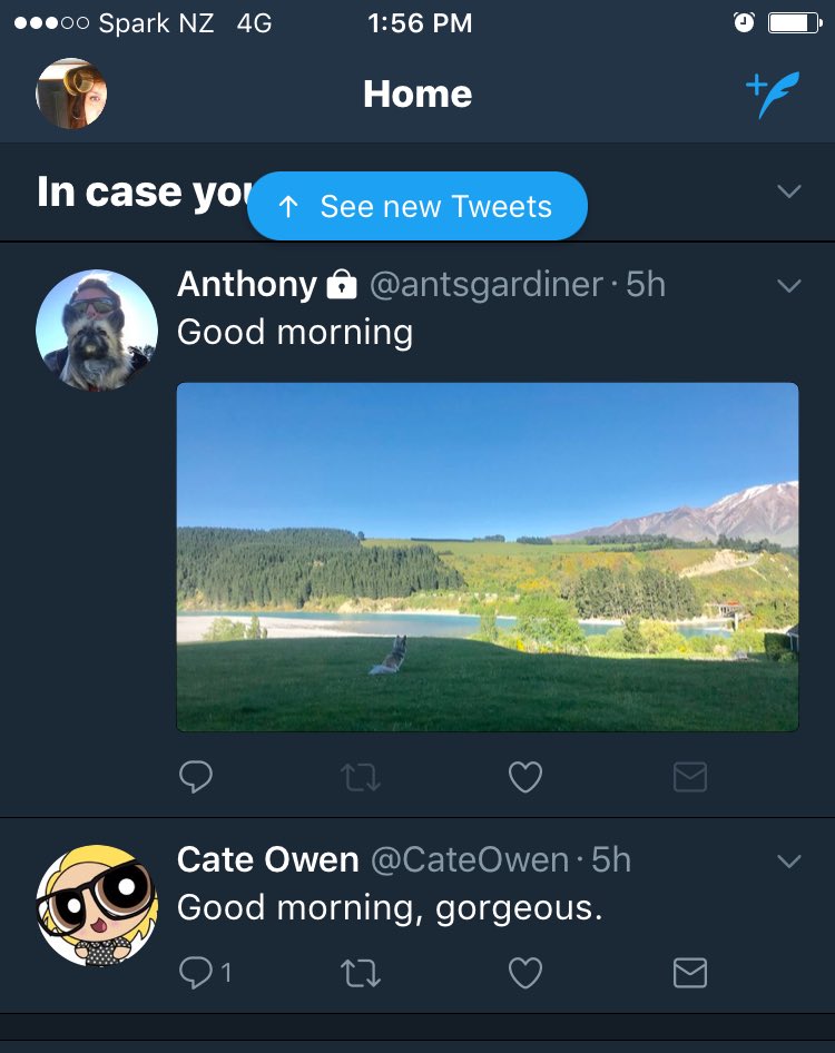Rooftop_gambler's tweet photo. @CateOwen This was weird timing earlier when I checked my phone lol @antsgardiner https://t.co/FHHl3DoCfK