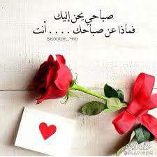 ShimoAli8 tweet picture