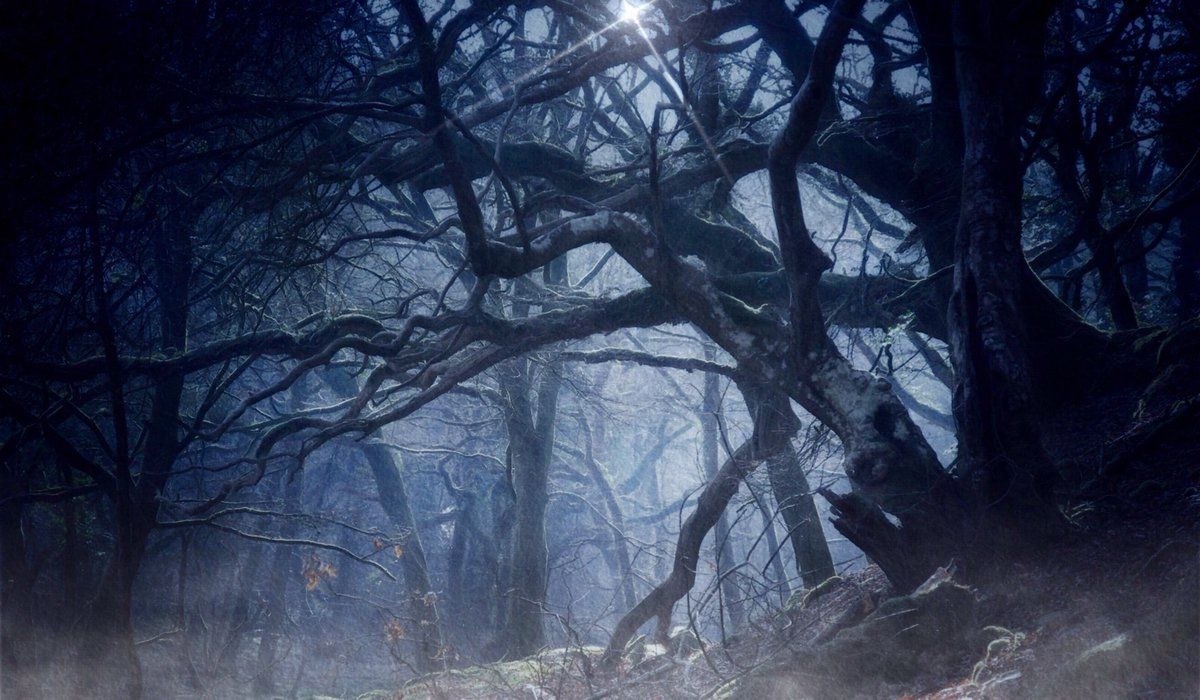 RachelBurch2's tweet photo. A picture from a Grenofen woods photo, Happy #Halloween #Samhain .
Ha e a good Tuesday as the veil thins... #Dartmoor #sDevon https://t.co/l5gZVZGsAP