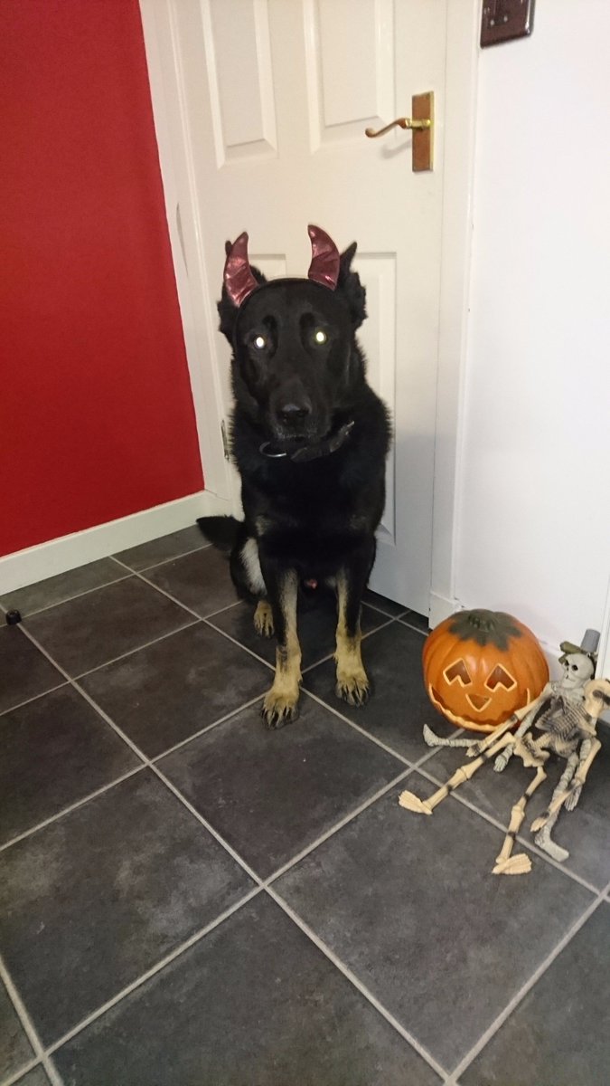 PD Bodie wishing u all a Happy Halloween 🎃 Stay safe trick or treating tonight. #PDBodie #anythingforatreat #Halloweenfun