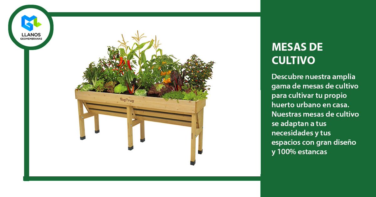 GeomembranasLL's tweet image. Descubre nuestra gama de mesas de cultivo para cultivar tu propio huerto en casa. Nuestras mesas de cultivo se adaptan a tus necesidades.