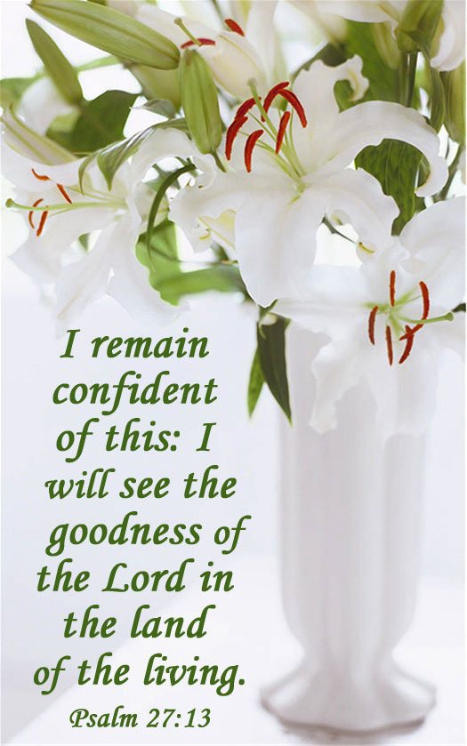 WalkByHisFaith's tweet photo. https://t.co/BoEGQjP4rS