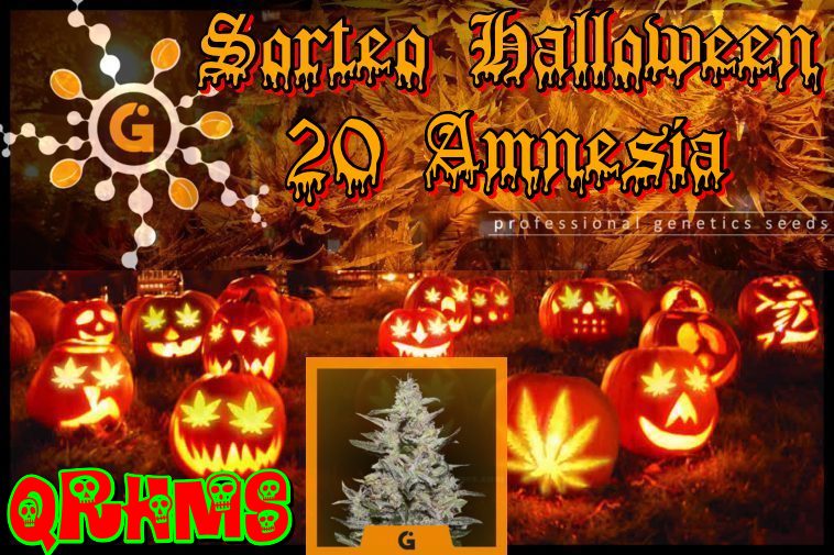 rebecaoghydro's tweet photo. Concurso #progen #qrhms #Amnesia
https://t.co/Ge7EW7oQqZ https://t.co/GJYTIFTFYo