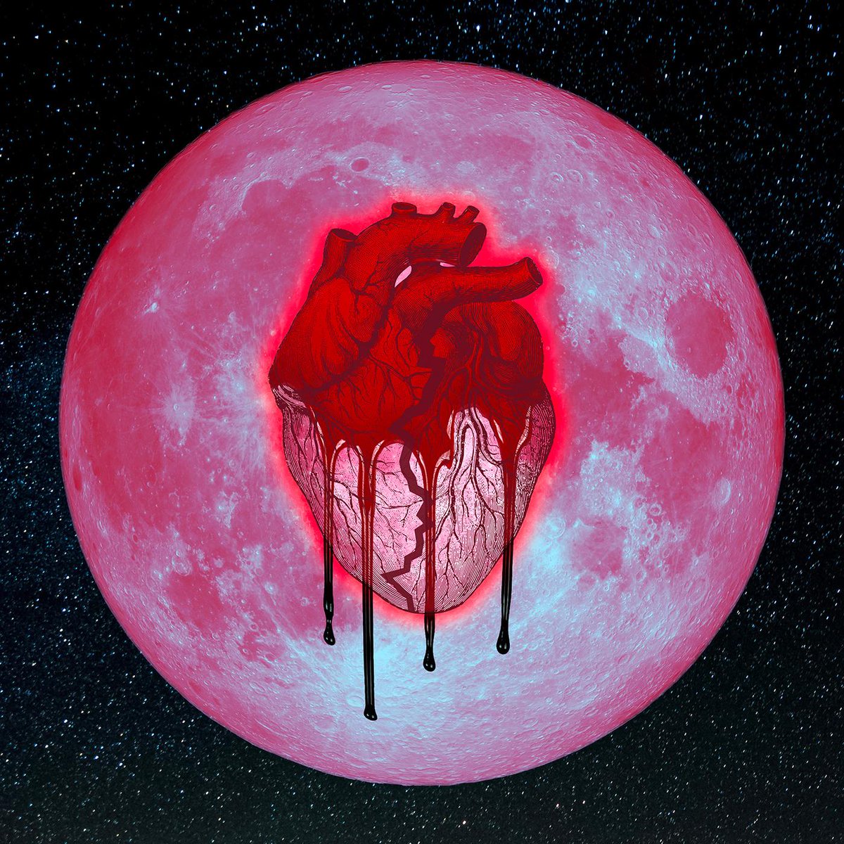 TIDAL tweet picture