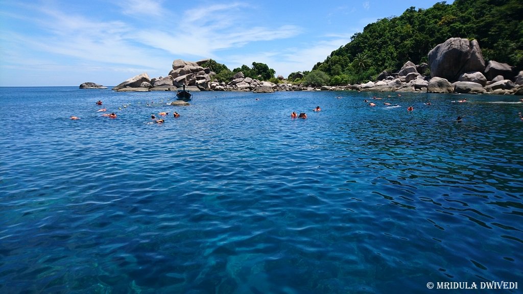 theinditrip's tweet photo. A #DayTrip to #KohNangYuan from #KohSamui - https://t.co/GJx9zEB4nZ
#CanonEOS1300D #CellPhonePhotography #TheInditrip #Inditrip https://t.co/FiVRLiFMLc