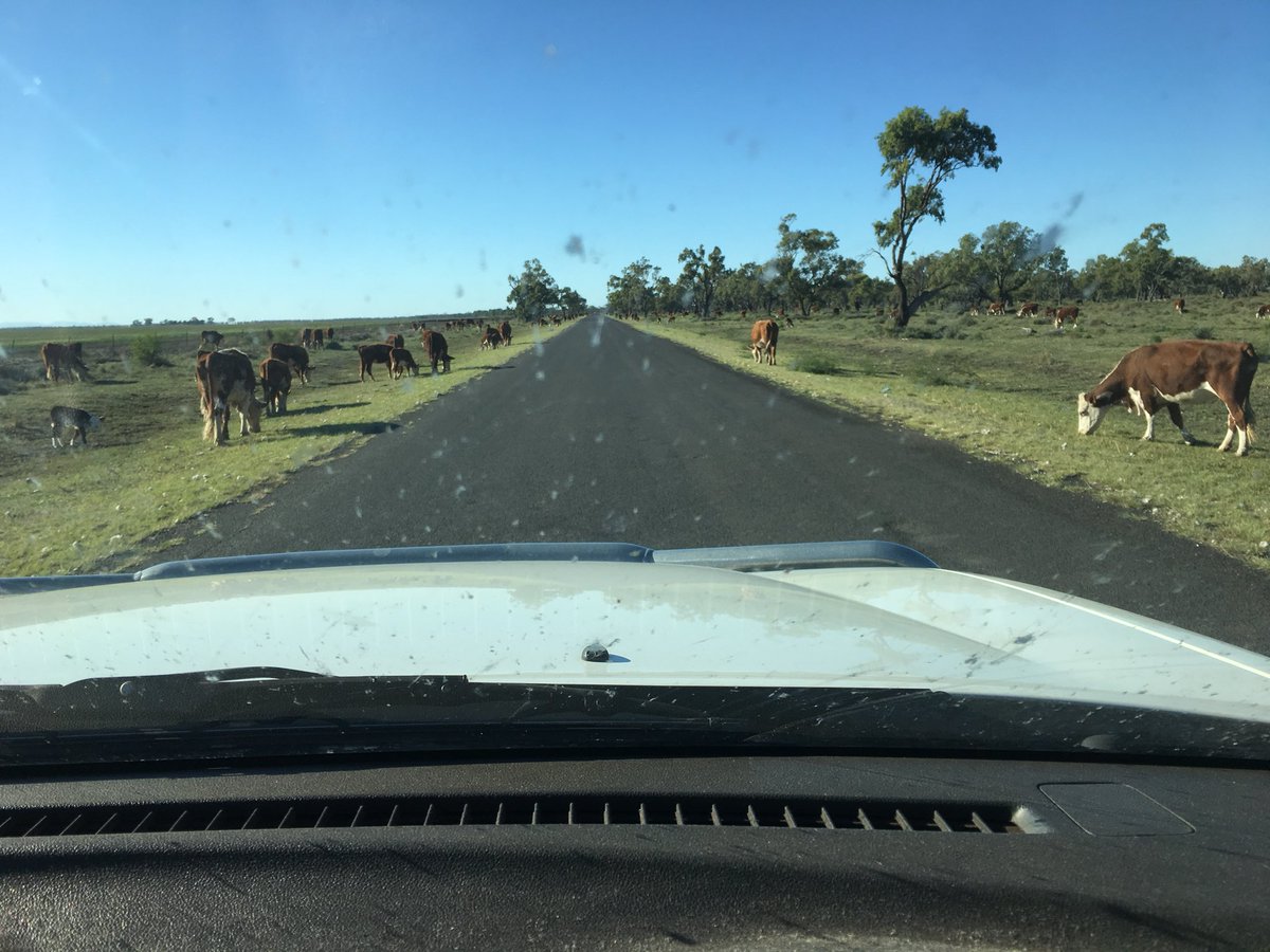 Going to school and getting stuck in traffic. #ACUedu_p #ruralteaching (the car was stopped with the handbrake on when I took this)