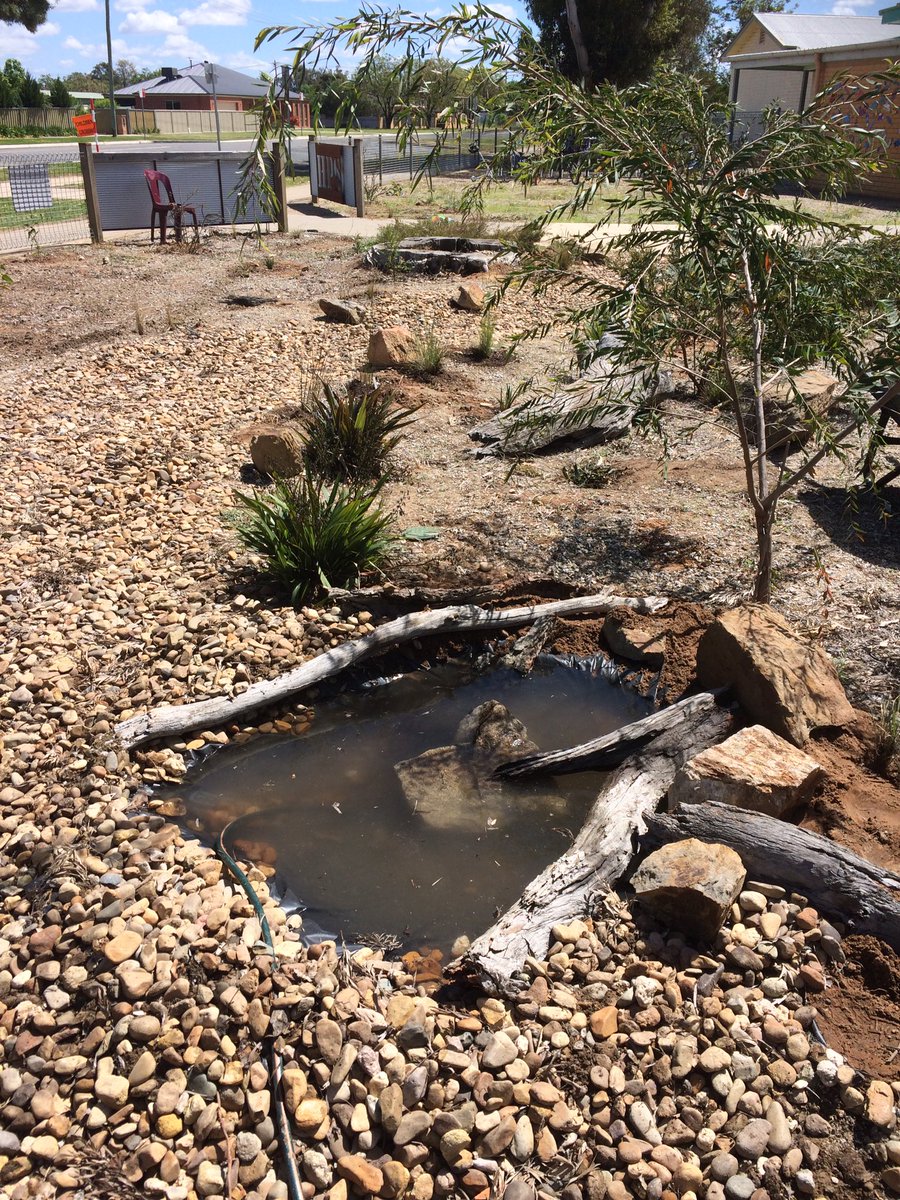 Dawe4Peter's tweet photo. #youthcommunitygreening Working with Ss from #HowlongPS importance of plants for habitat. Creating #habitatgarden for local threatened ๐ฆ sp https://t.co/u9sxMFYHUt