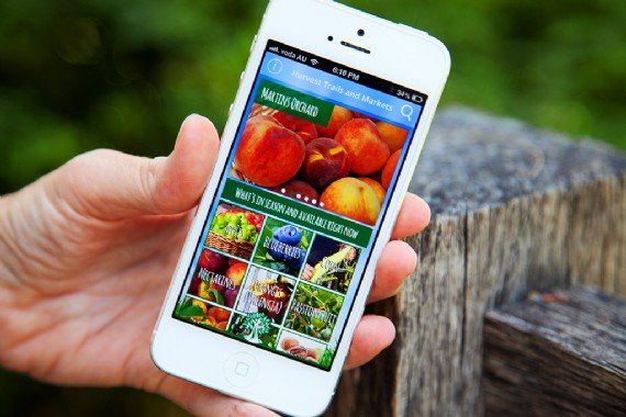 FarmGateTrail's tweet image. An free App for discovering the best, local, farm-fresh produce in NSW bit.ly/1IS0evY