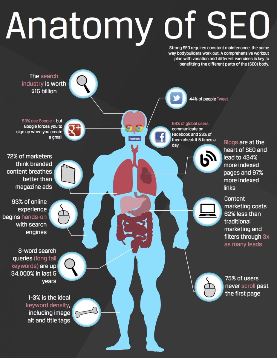 UkAlvarado's tweet photo. Anatomy of #SEO #SocialMedia #Makeyourownlane #Growthhacking #Google #9and9 #DigitalMarketing #SMM #defstar5 #Mpgvip #smallbusiness https://t.co/fFkiBBkOyr