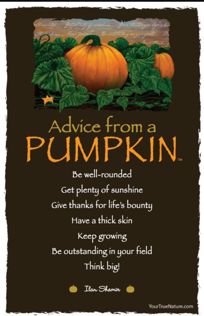 Karen Watkins tweet media